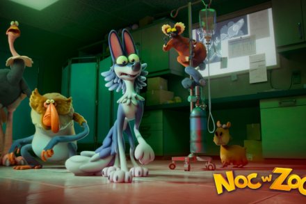 Noc w zoo