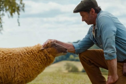 Sprawiedliwość owiec